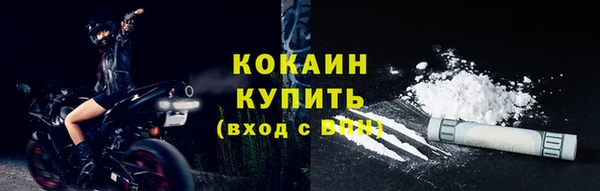 PSILOCYBIN Пересвет