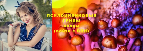 твердый Покров